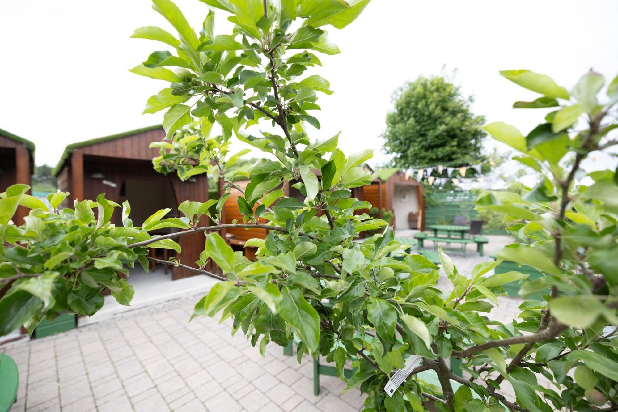 The Orchard House Kilkenny Exterior foto